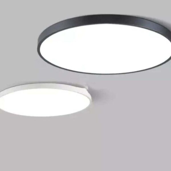 Mount Ceiling Light